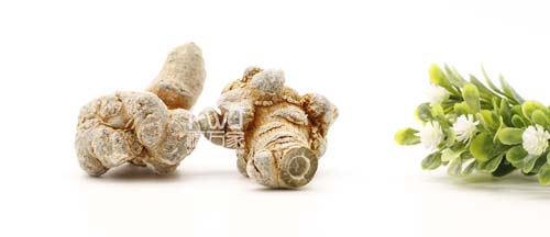 三七的種植受哪些因素影響？