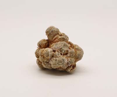 三七粉哪里的好？還能貨到付款！