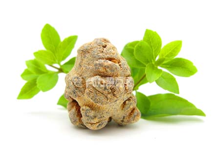 三七粉哪個牌子好？