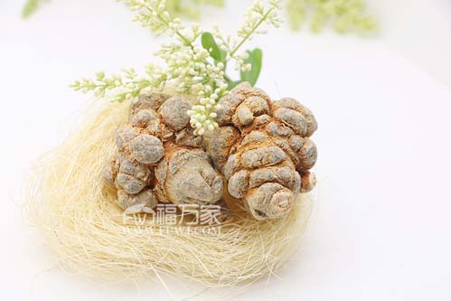 三七粉哪個牌子好？