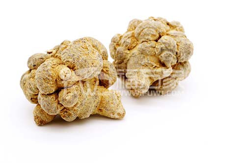 三七粉的用途是什么？
