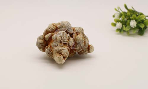 三七的效用為什么對(duì)風(fēng)濕痛有用？
