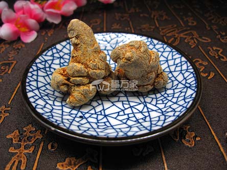 三七打粉選多大的好??？