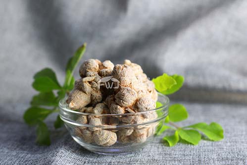 三七打粉前怎么處理？