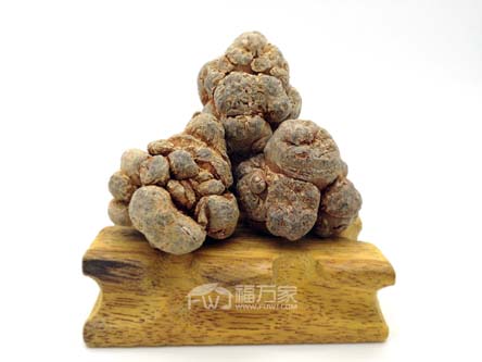 三七什么樣子最好？是圓的還是長的？