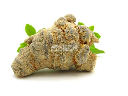 三七什么樣子最好？是圓的還是長的？