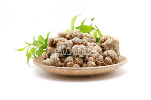 春三七好還是秋（冬）三七好？