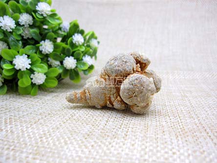 三七粉為什么對(duì)改善血液粘稠有效？