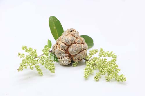三七粉適合什么年齡的人群吃？