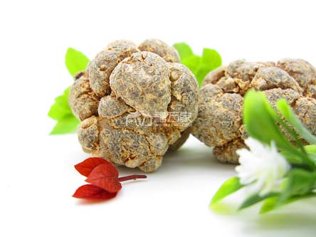 三七是大的好還是小的好？
