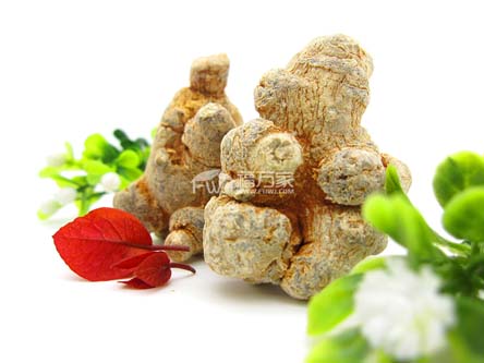 三七粉是作為保健品用嗎？