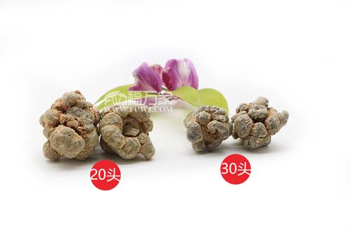 買三七送禮多少頭的最好？