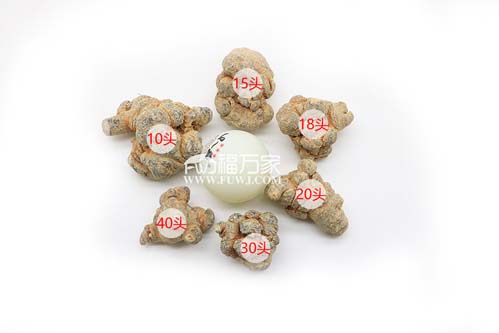 二十頭、三十頭的三七都是多少錢(qián)一斤
