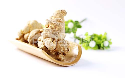 東北產(chǎn)三七嗎？三七在北方能種嗎