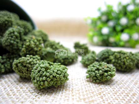 哪里賣(mài)三七花