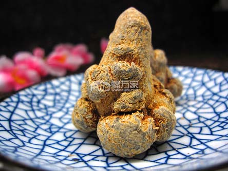 買(mǎi)好質(zhì)量三七